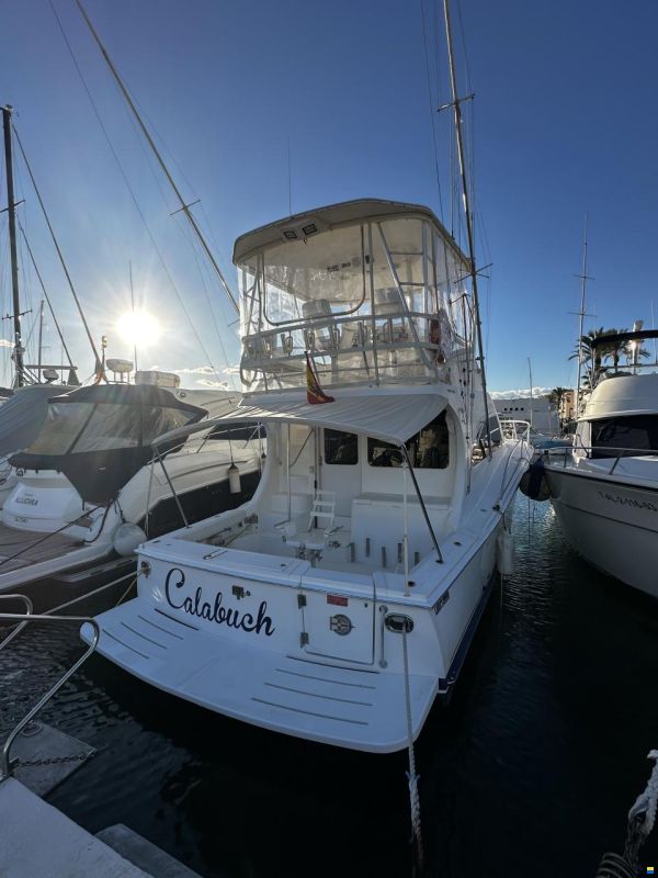 Luhrs 41 Convertible