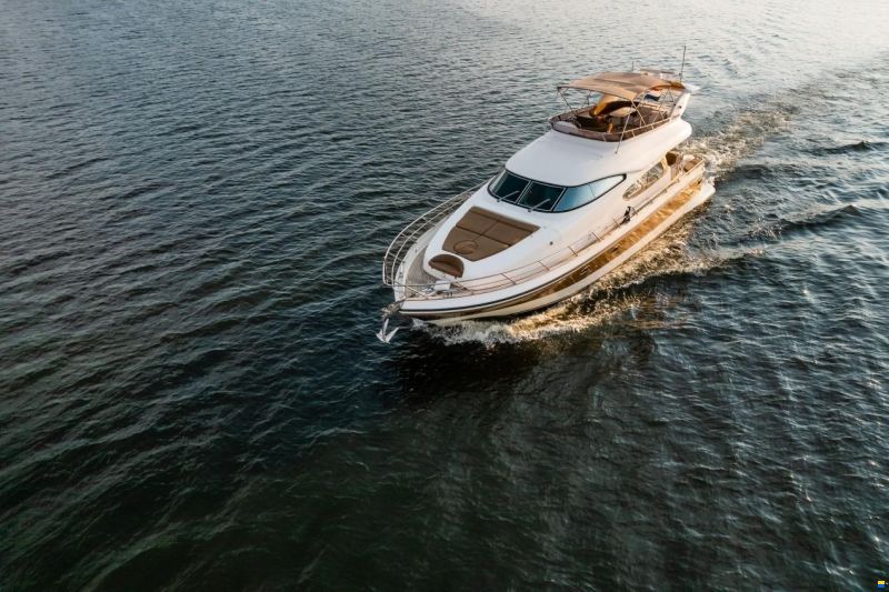 Elegance 54