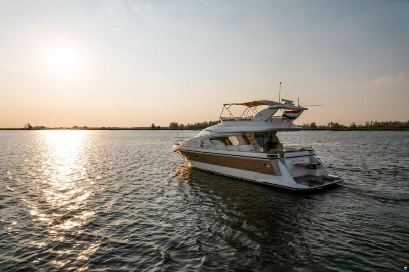 Elegance 54