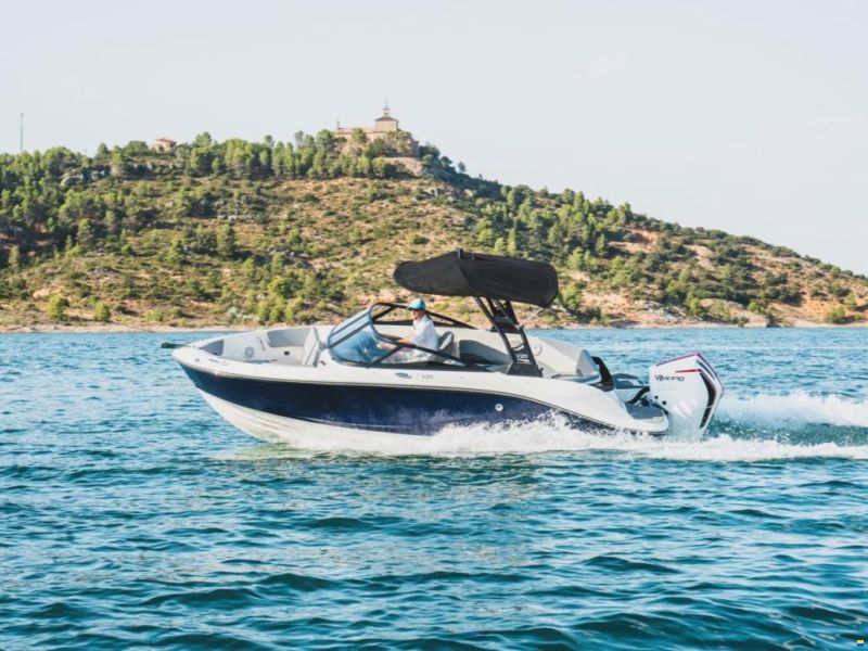 Bayliner V20