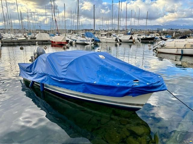 Cigala & Bertinetti Condor