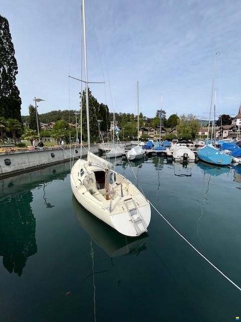 O.L.-Boats International 806