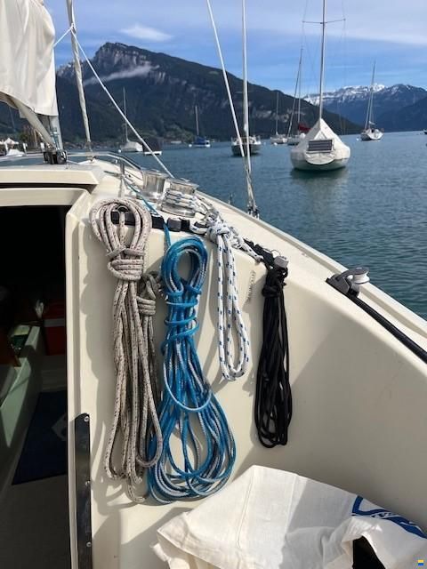 O.L.-Boats International 806