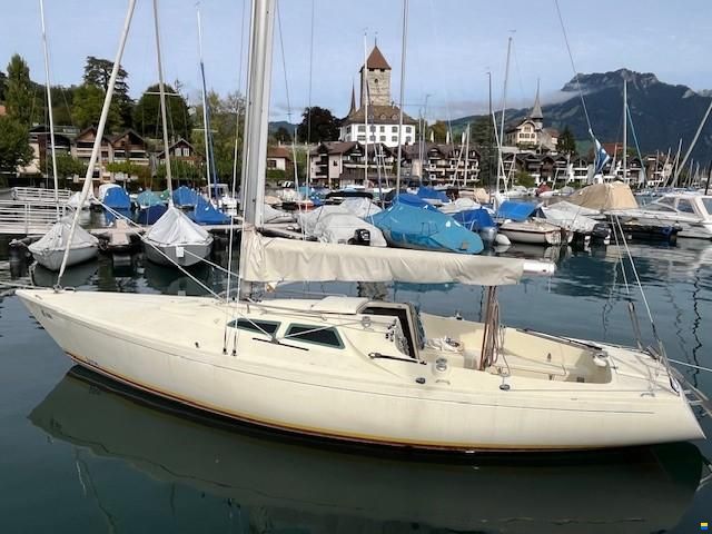 O.L.-Boats International 806