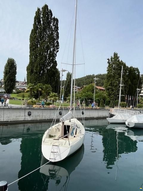 O.L.-Boats International 806