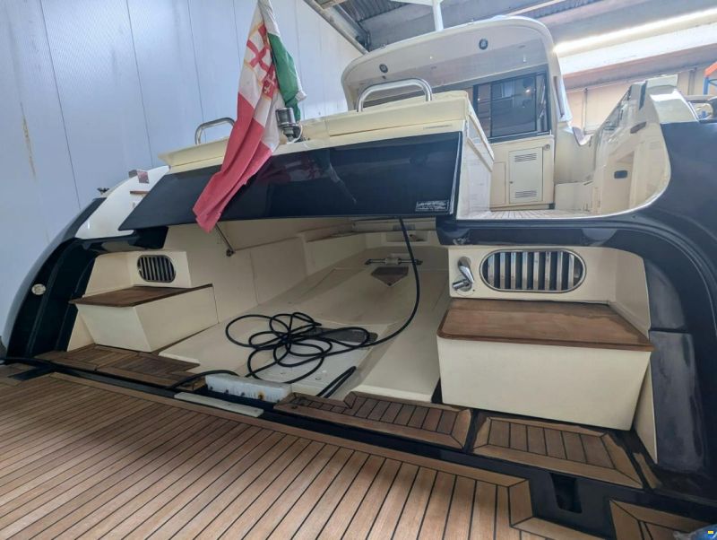 Mochi Craft Dolphin 51