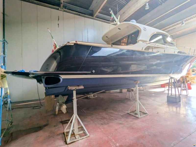 Mochi Craft Dolphin 51