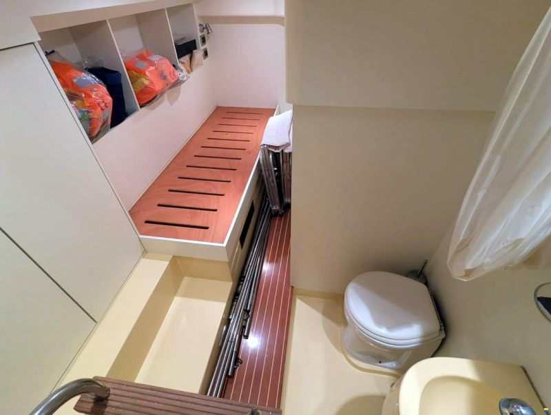 Mochi Craft Dolphin 51