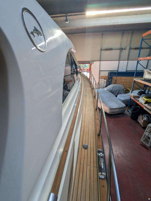 Mochi Craft Dolphin 51