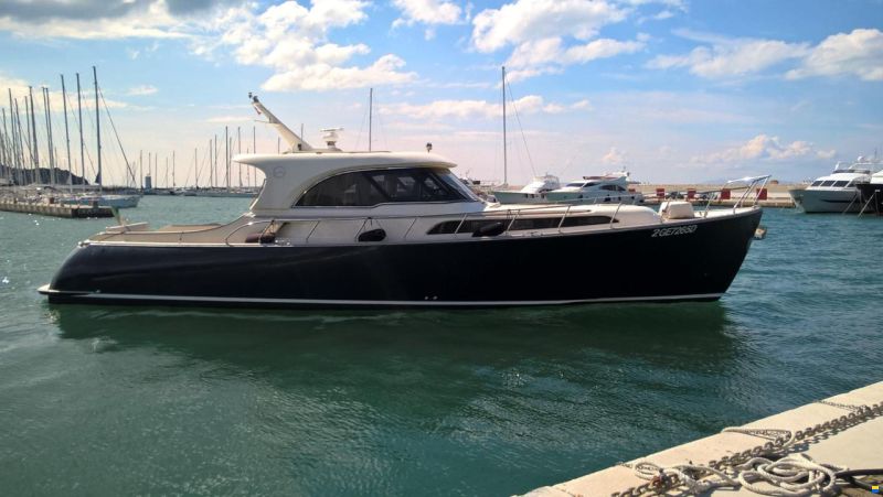 Mochi Craft Dolphin 51