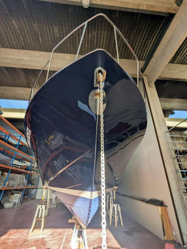 Mochi Craft Dolphin 51