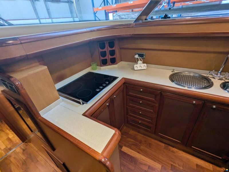 Mochi Craft Dolphin 51