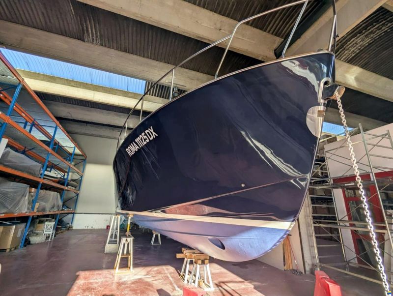 Mochi Craft Dolphin 51