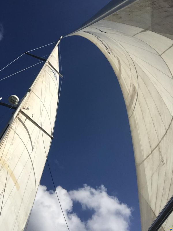 Hanse 540e