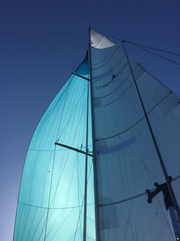 Hanse 540e