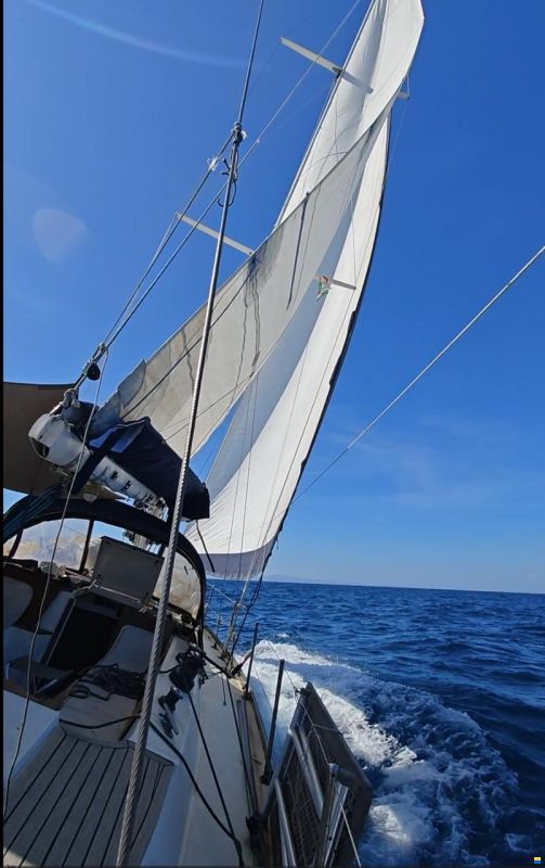 RPD Nelson 46