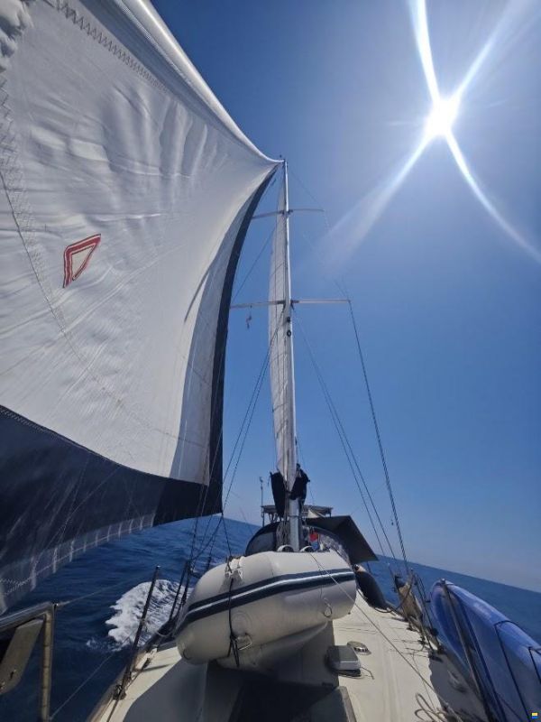 RPD Nelson 46