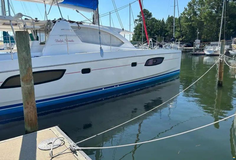 Leopard 44