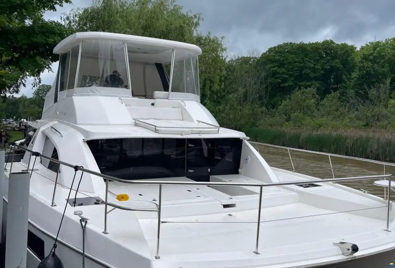 Leopard Powercat 43