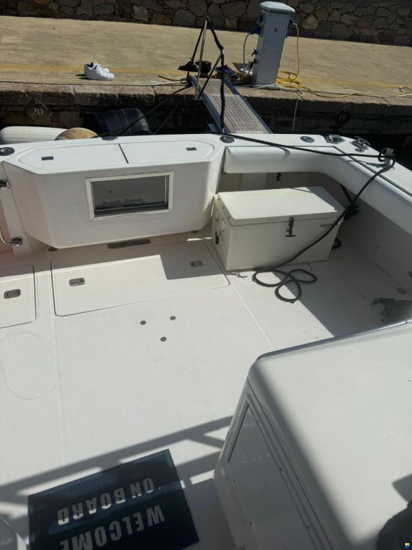 Bertram Yacht 360 Moppie