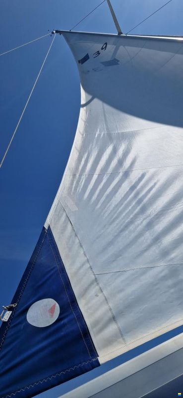 Bavaria 39 Limited Edition