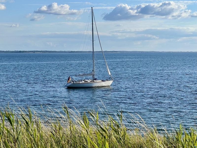 Baltic 43