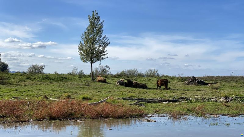 Windy 28 Ghibli mit Hafenplatz