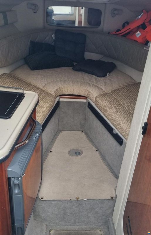 Sea Ray 245 SUNDANCER MIT 5,0L MPI