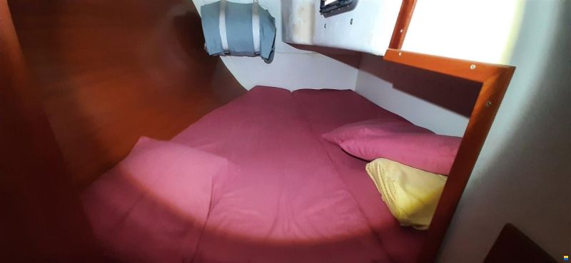 Hanse 311