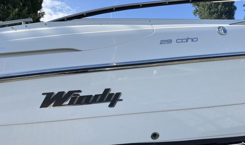 Windy Coho 29