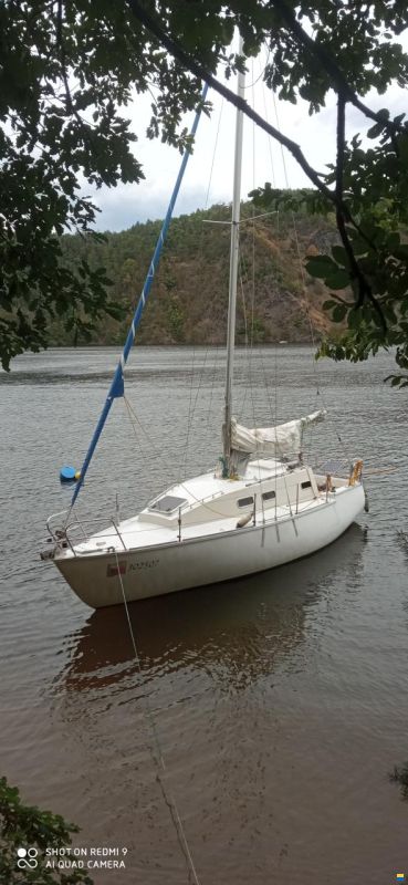 Ragnar 26