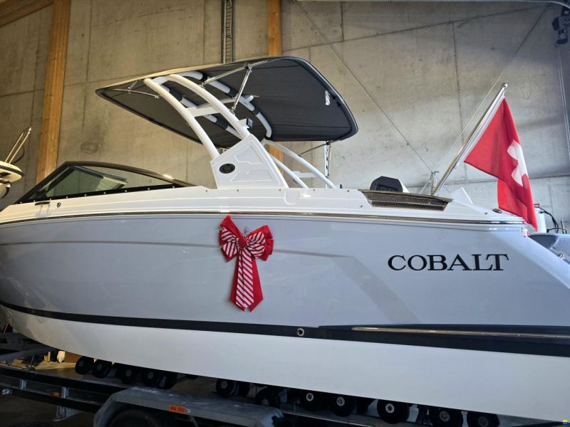 Cobalt R6