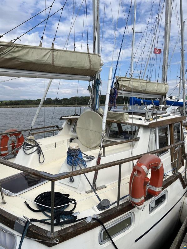 Nauticat 361