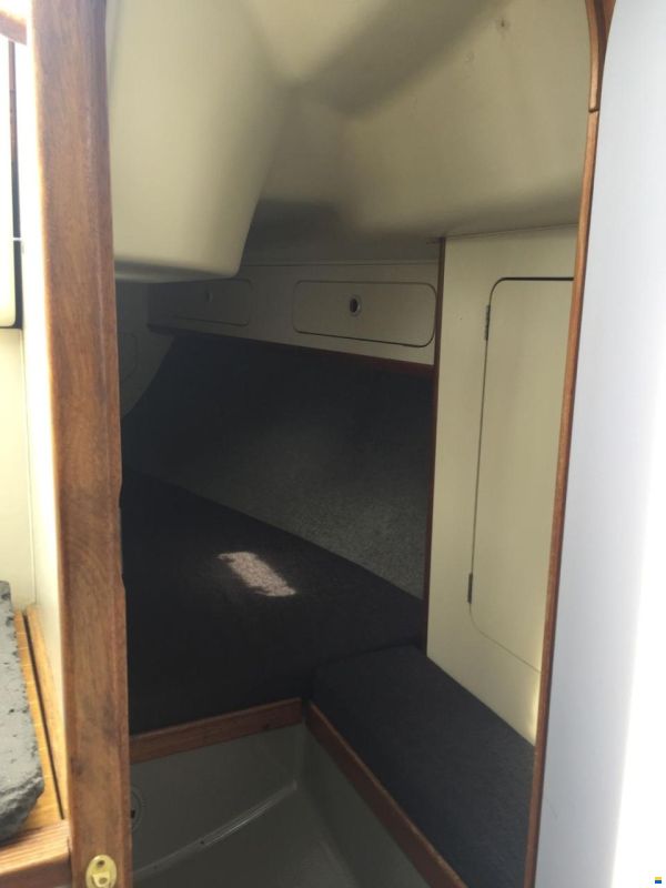 Dehler 343 Top nova