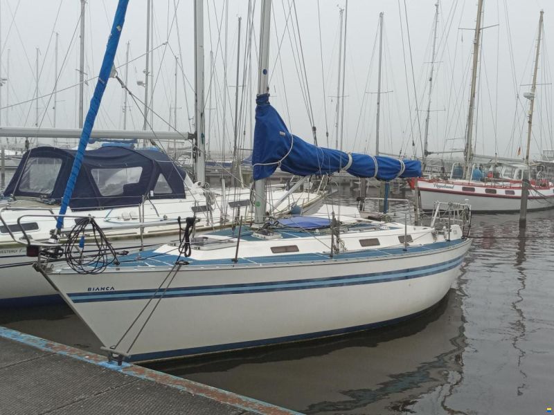 Bianca 320