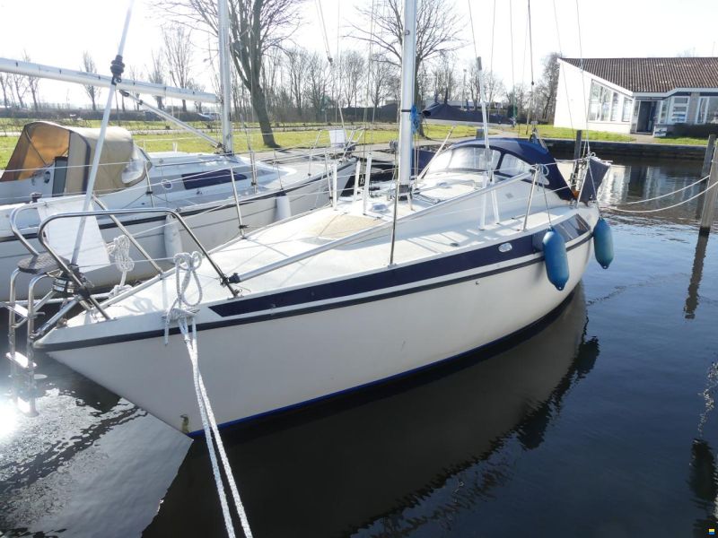 Pettersson MAXI 84