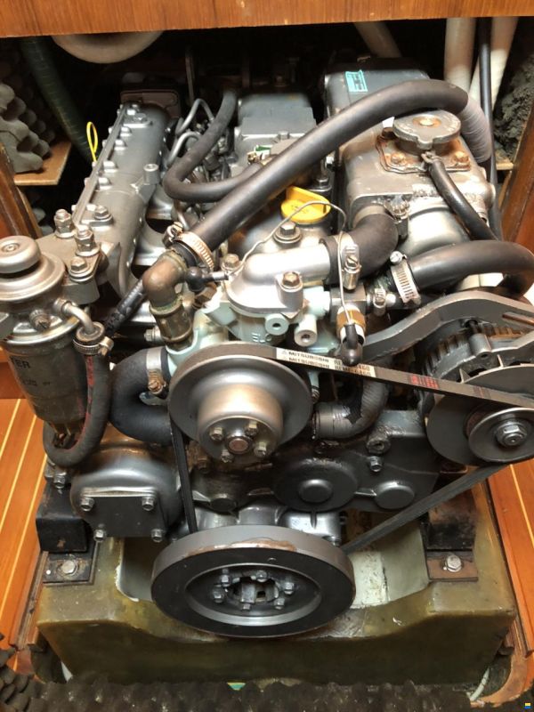 Zuanelli 40