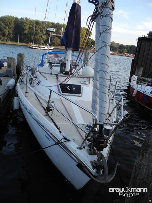 Catalina 36