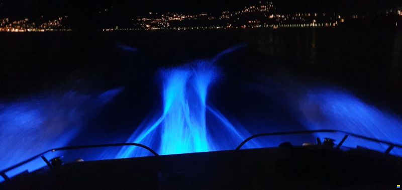 Cranchi Aquamarina 31