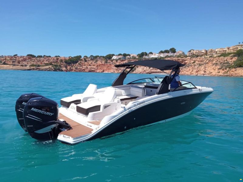 Sea Ray 290