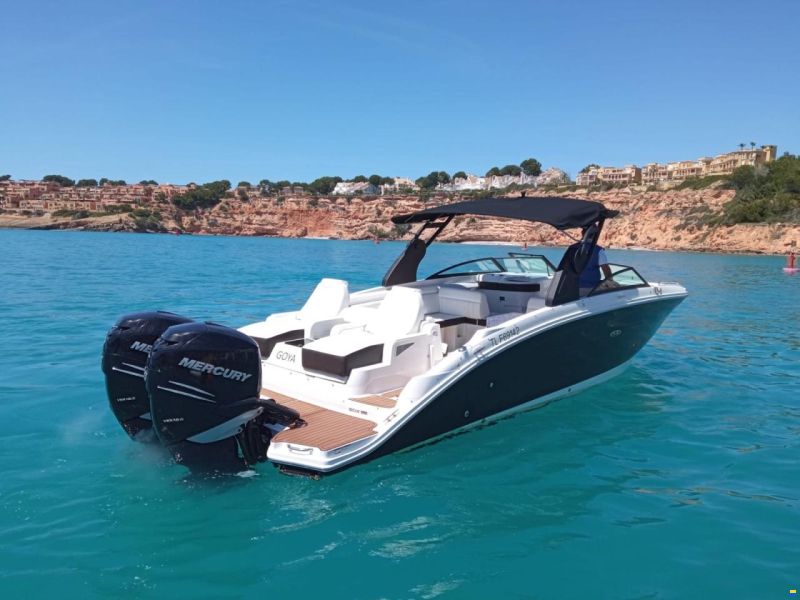Sea Ray 290