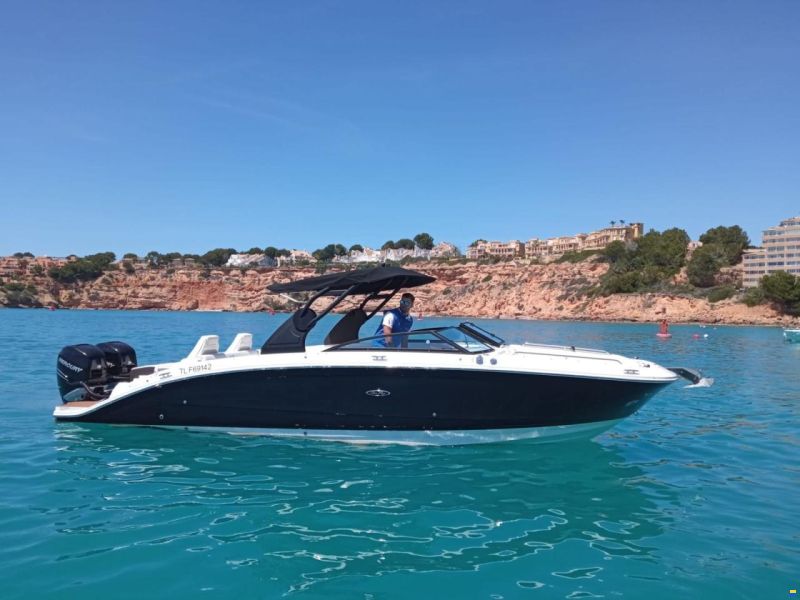 Sea Ray 290