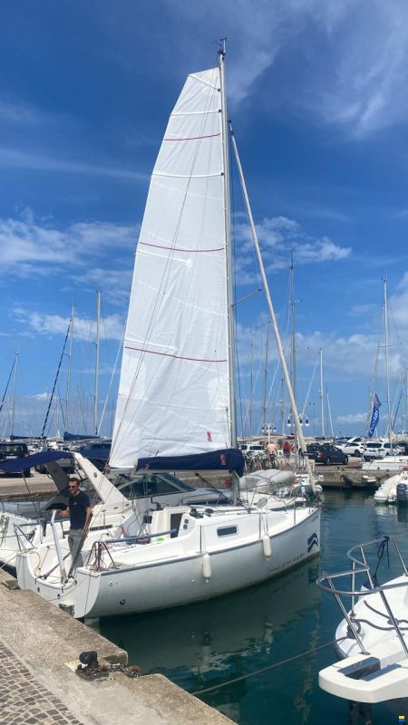 Jeanneau sun 2500