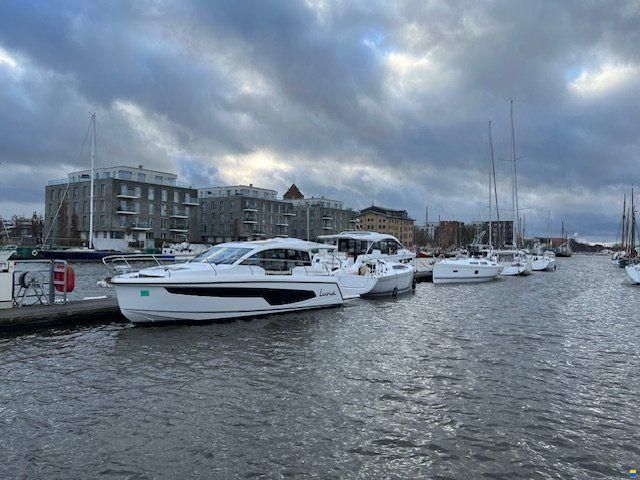 Sealine C 335