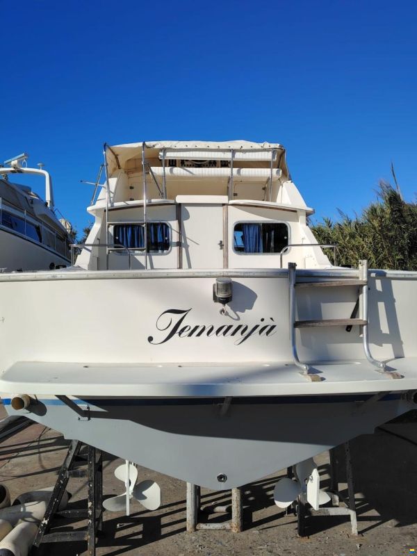 Bertram Yacht 28' Fbc