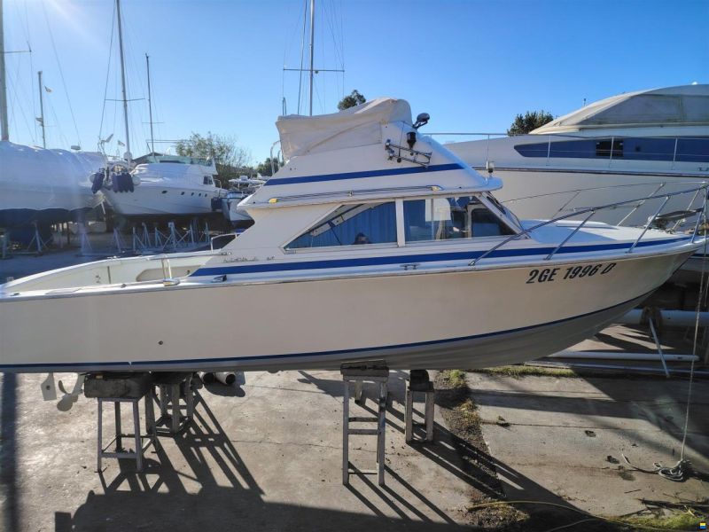 Bertram Yacht 28' Fbc