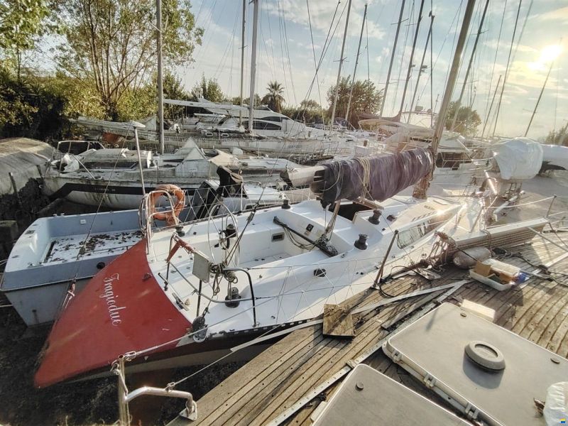 Polaris 37
