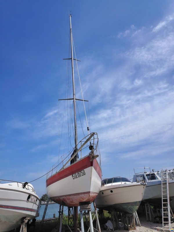 Polaris 37