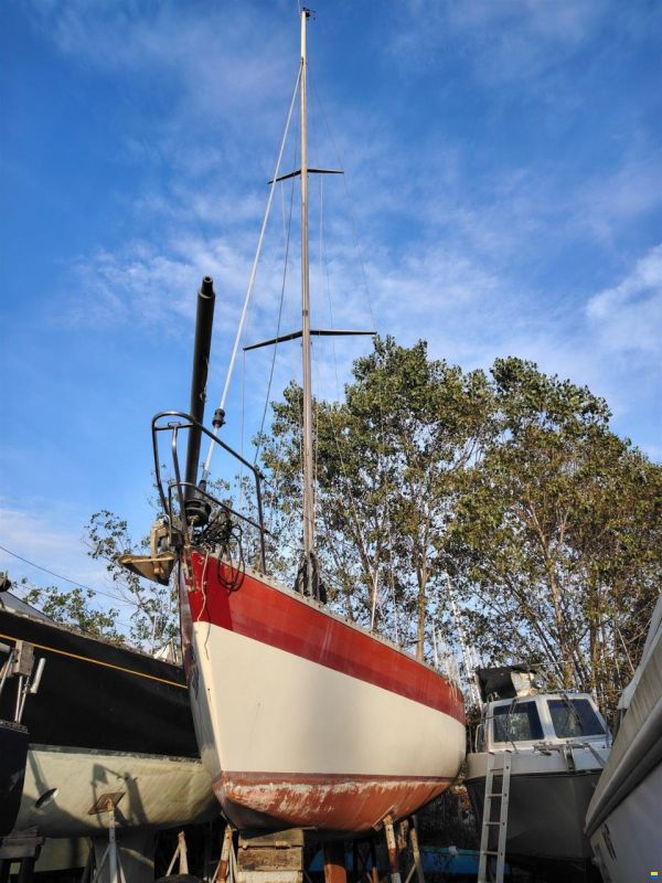 Polaris 37