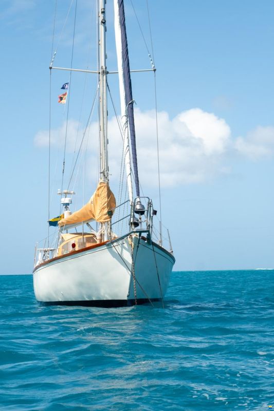 Van de Stadt Phoenix 42